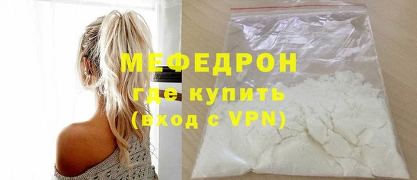 индика Ельня