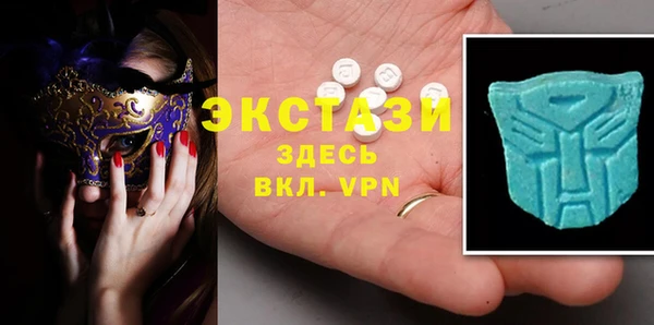 индика Ельня
