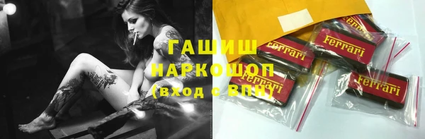 индика Ельня