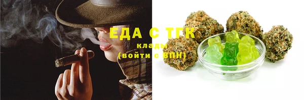 индика Ельня