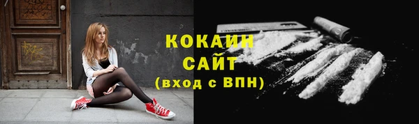 индика Ельня