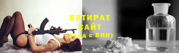 индика Ельня
