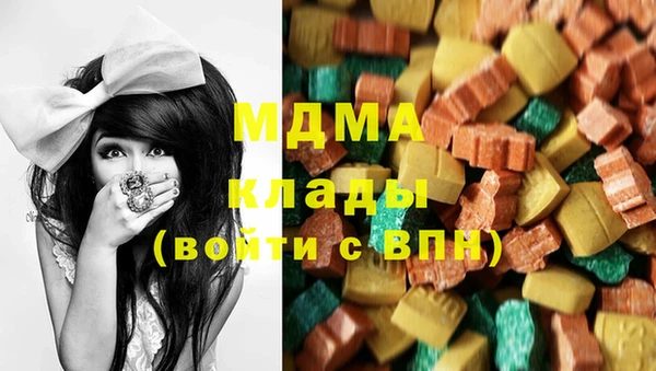 индика Ельня