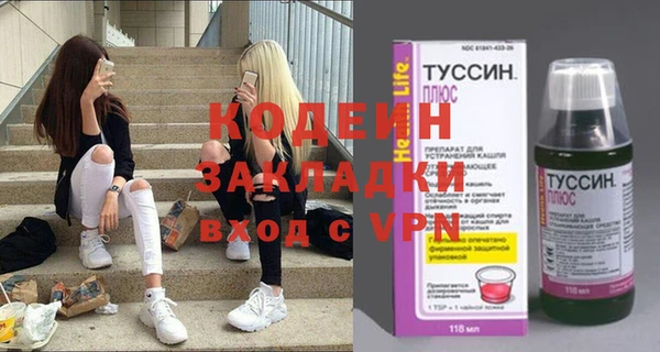 индика Ельня