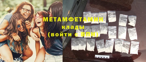 индика Ельня