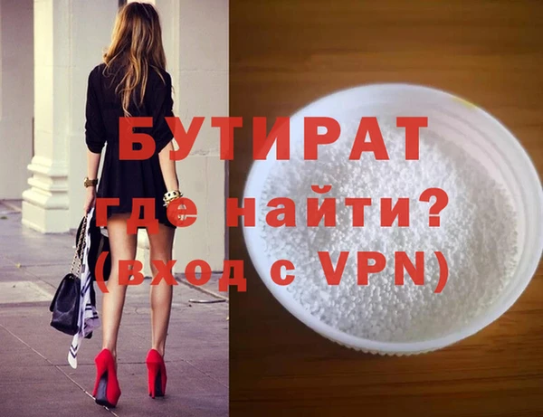 индика Ельня